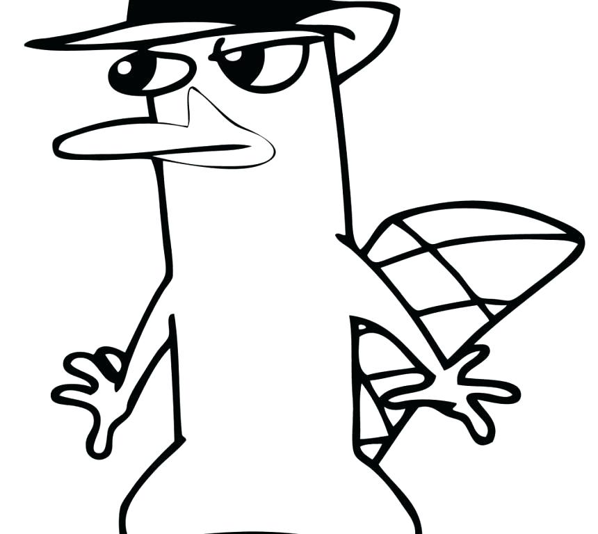 860x768 Wombat Coloring Page The Platypus Coloring Pages Platypus Coloring