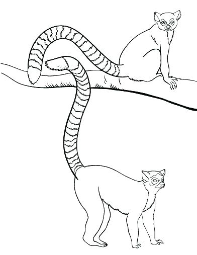 392x507 Wombat Coloring Page Wombat Coloring Page Free Wombat Colouring