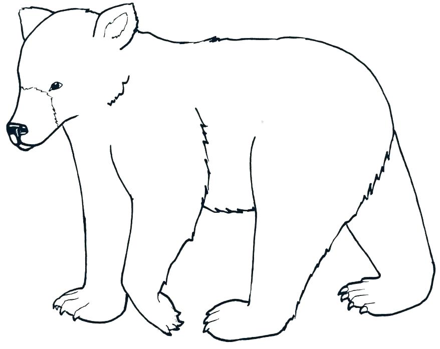 878x697 Free Black Bear Outline Wombat Coloring Page Baby Wombat Coloring