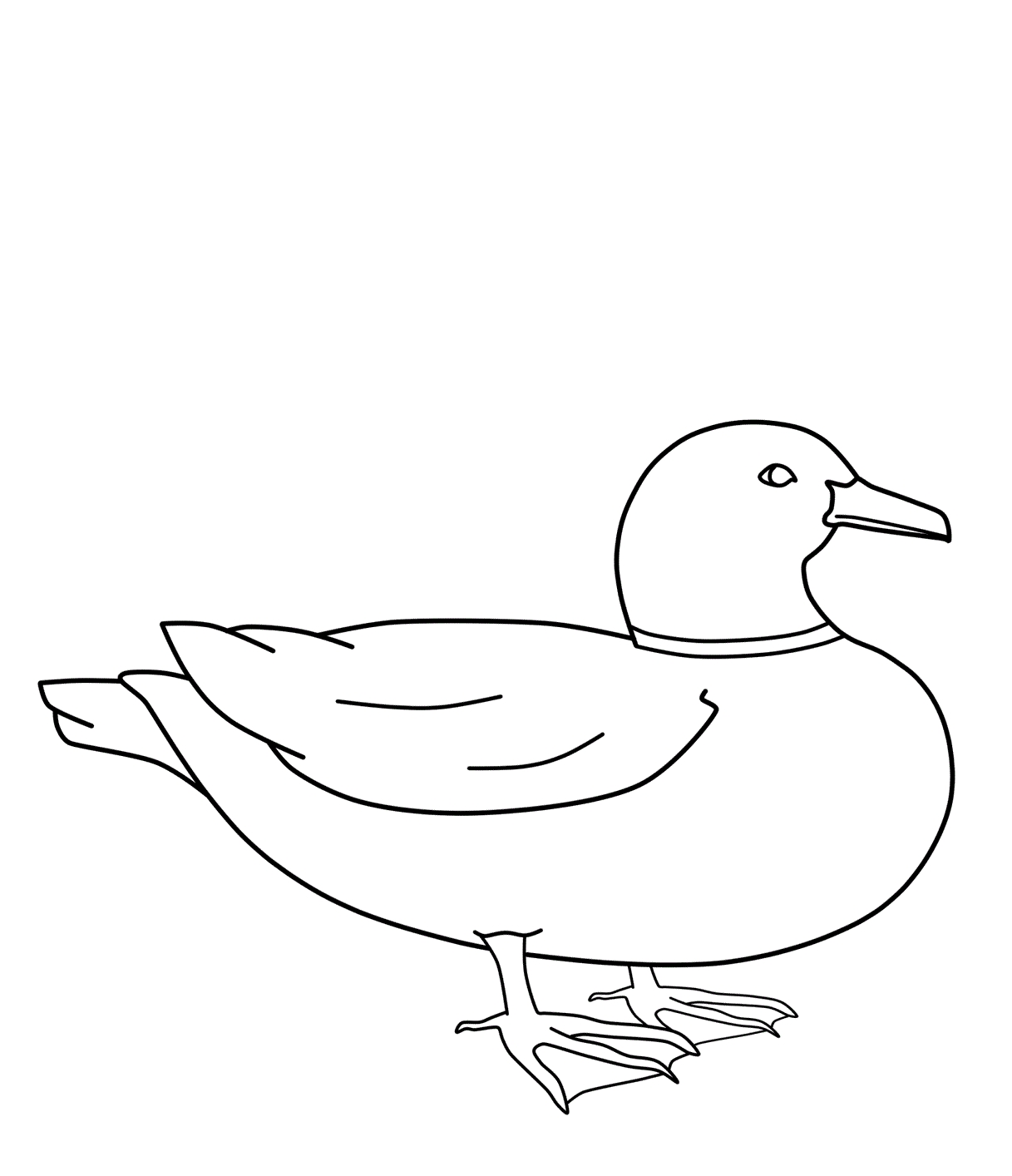 1217x1414 Announcing Printable Pictures Of Ducks Wood Duck Drake Coloring