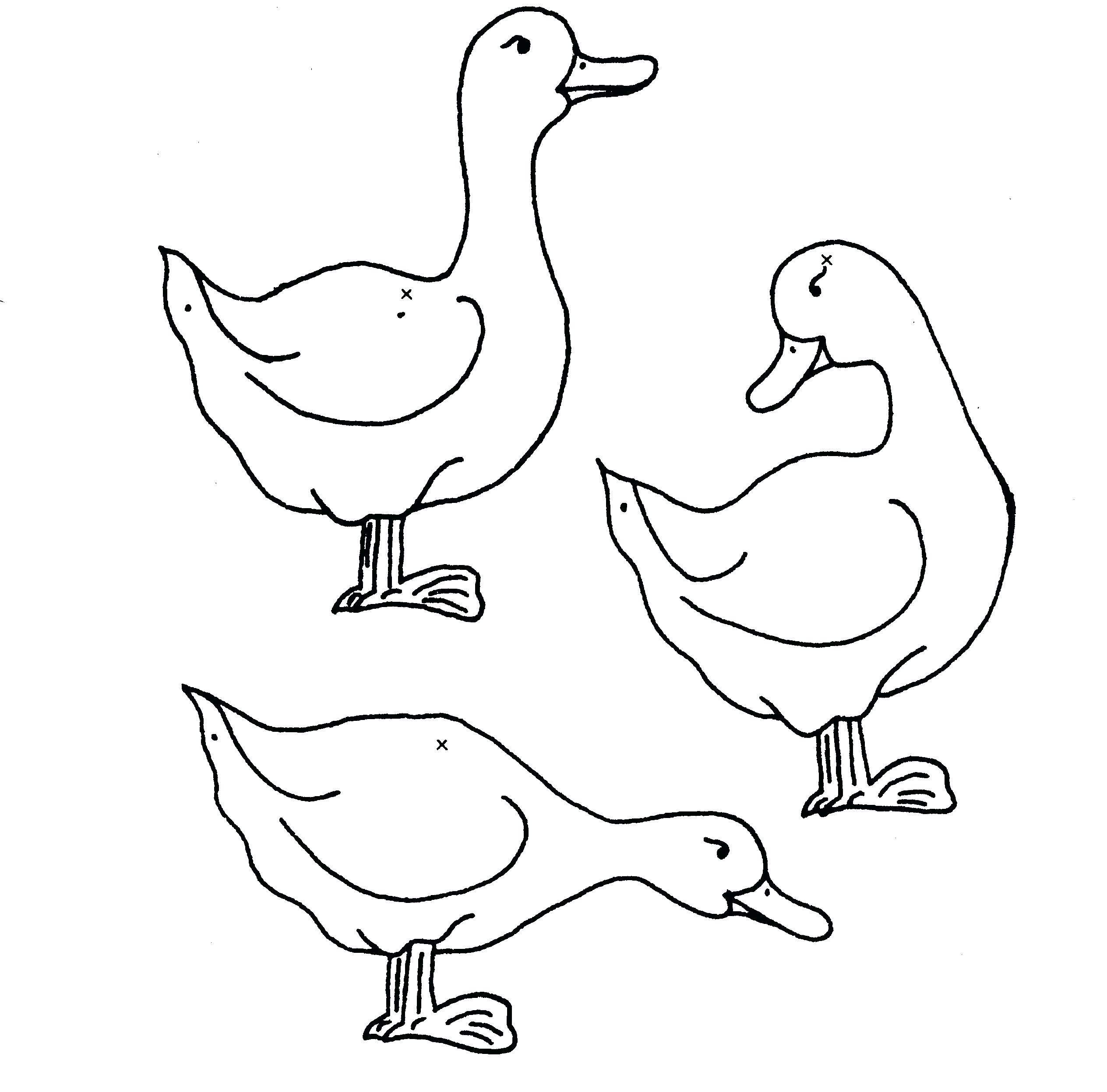 2528x2495 Best Of Coloring Ducks Coloring Page