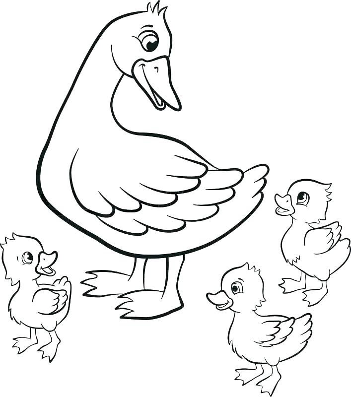 707x800 Wood Duck Coloring Page Bell Oregon Ducks Helmet Coloring Pages