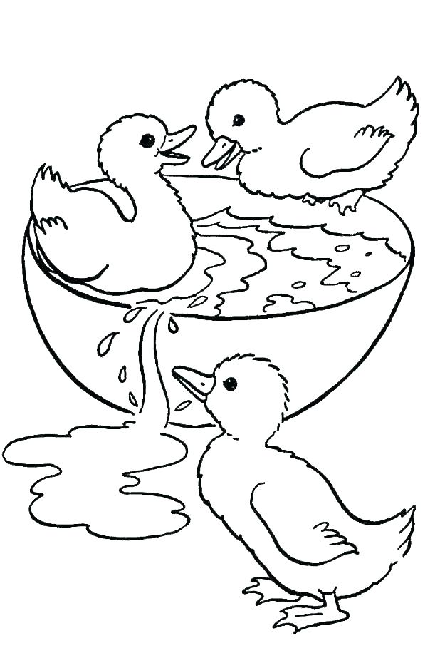 618x930 Coloring Pages Duck Ducks Coloring Page Duck Coloring Pages