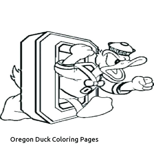 600x600 Coloring Pages Ducks Pond Coloring Page Coloring Page Duck Wood