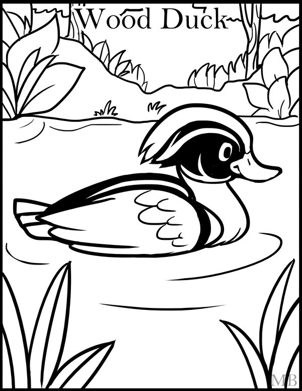 600x776 Coloringpage Wood Duck By Magicbunnyart