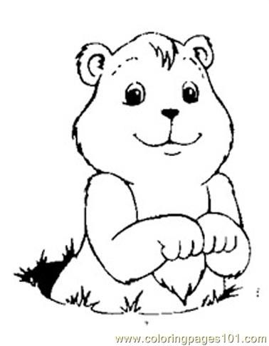 378x486 Groundhog Pictures To Color Groundhog Luking Coloring Page Free