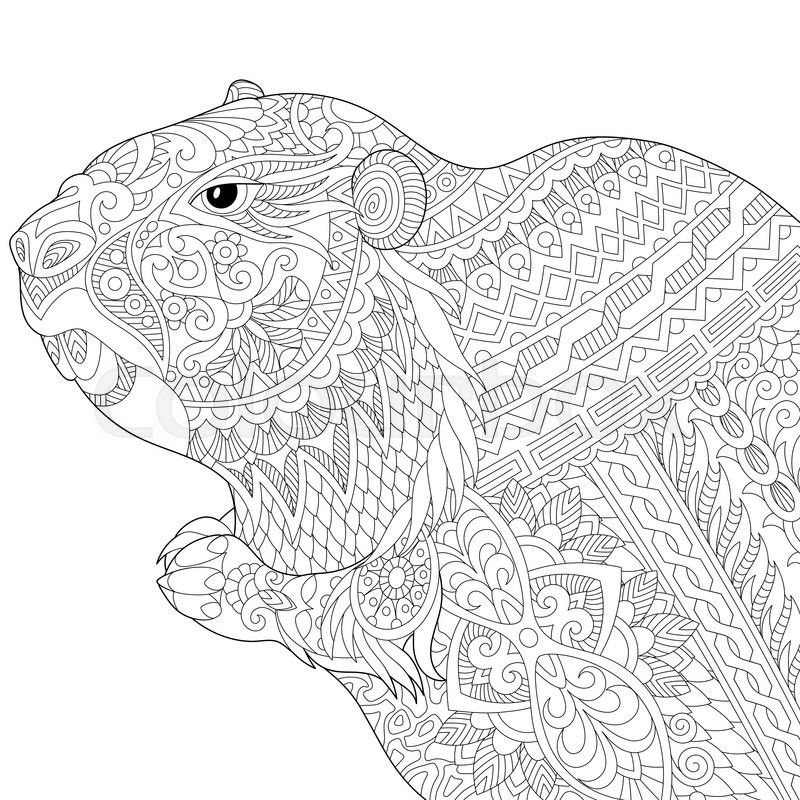 800x800 Stock Vector