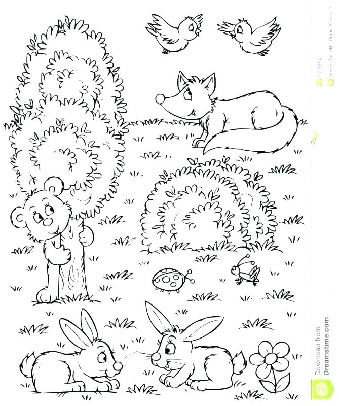 669x800 Forest Animals Coloring Pages Woodland Animals Coloring Pages
