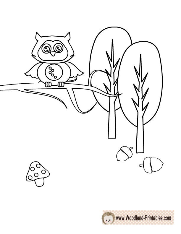 612x792 Free Printable Woodland Animals Coloring Pages