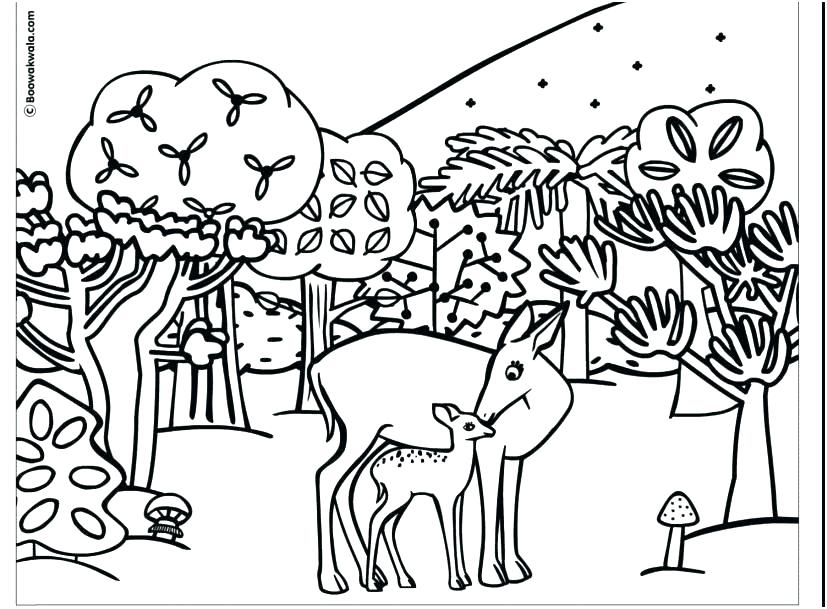 827x609 Woodland Animals Coloring Pages Animals Coloring Pages Printable