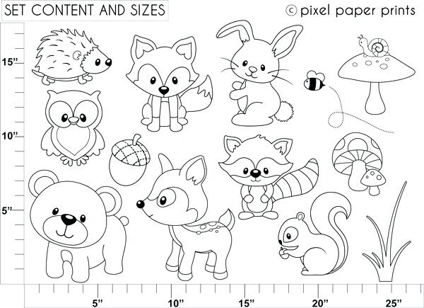 600x435 Woodland Animals Coloring Pages Woodland Animals Coloring Pages 3