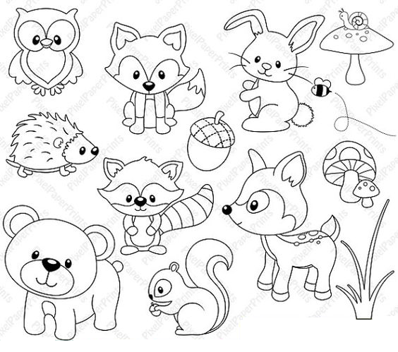 564x499 Woodland Animals Color Page Woodlands Party
