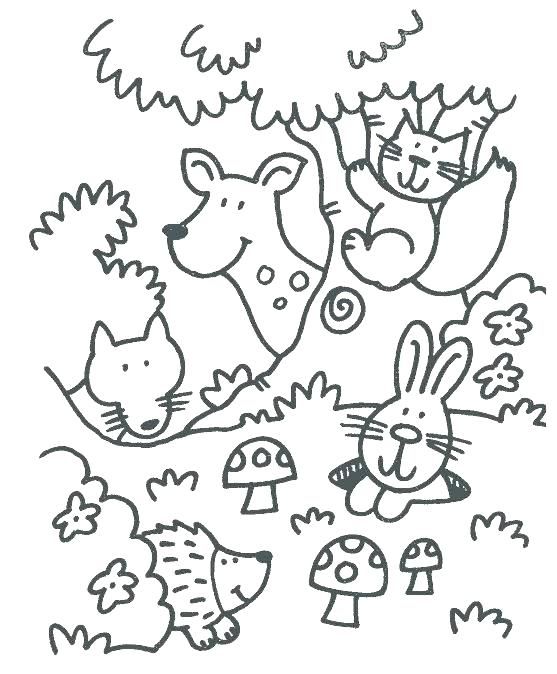 557x674 Baby Forest Animals Coloring Pages Wildlife Coloring Pages