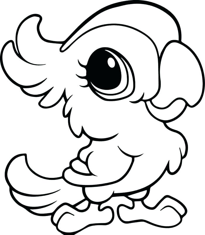 700x802 Rainforest Animal Coloring Pages Coloring Pages Of Animals Animal