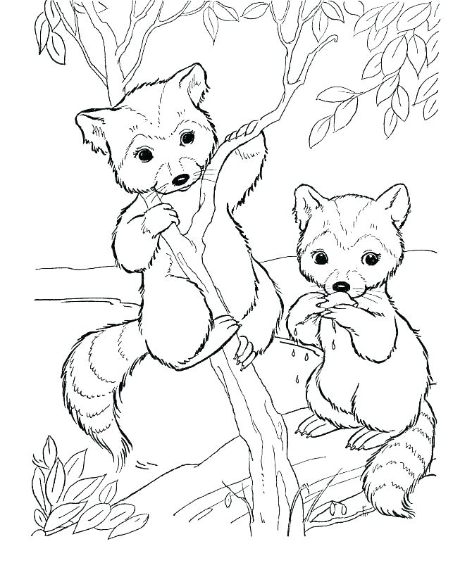 670x820 Woodland Animals Coloring Pages Animal Mandala Coloring Pages Free