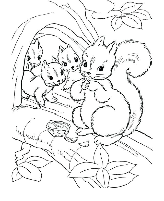 670x820 Woodland Animals Coloring Pages Coloring Pages Printable Woodland
