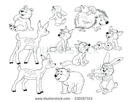 450x358 Woodland Animals Coloring Pages Cute Woodland Animals Small Set