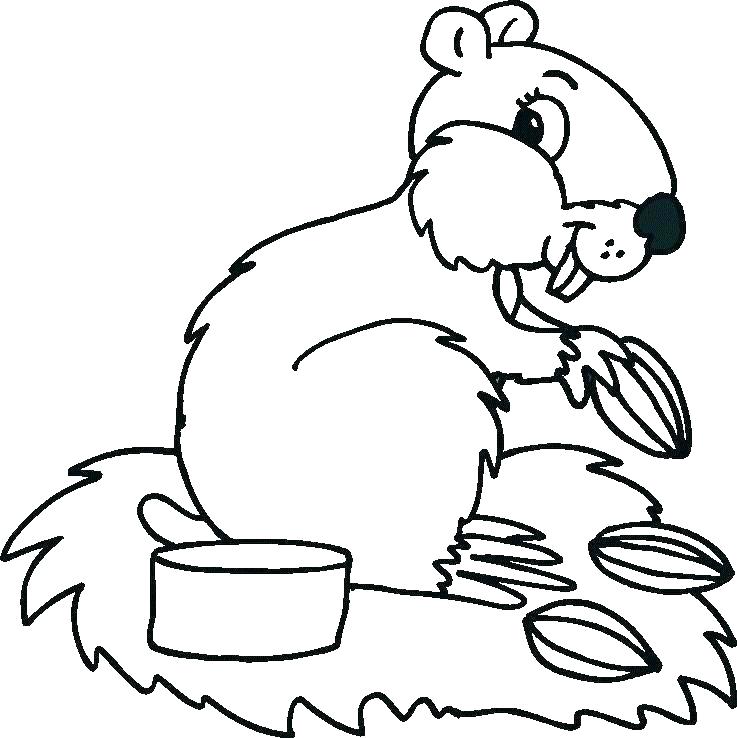 737x738 Woodland Animals Coloring Pages Forest Animals Coloring Page