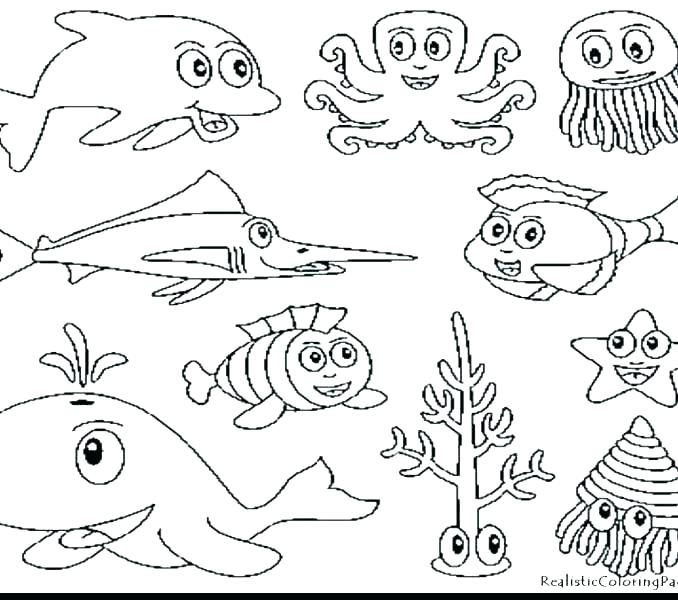 678x600 Woodland Animals Coloring Pages Forest Animals Coloring Pages