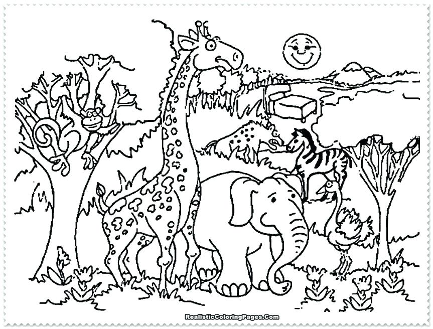 863x656 Little Critter Coloring Pages Coloring Pages Zoo Coloring Pages 5