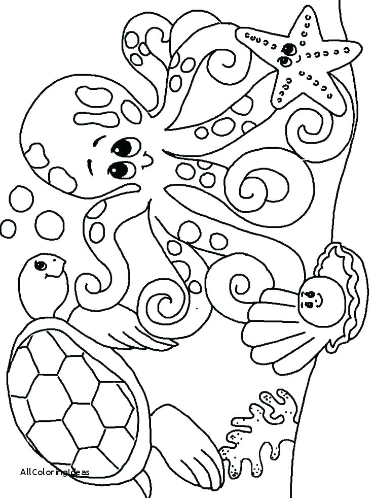 736x981 Ocean Animals Coloring Page Free Animal Coloring Woodland Animals