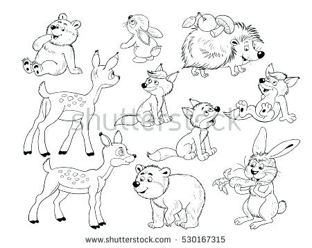 450x358 Woodland Animals Coloring Pages Cute Woodland Animals Small Set