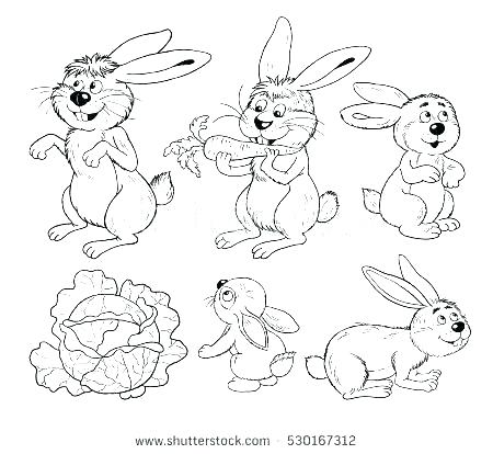450x414 Woodland Animals Coloring Pages Forest Animals Coloring Page