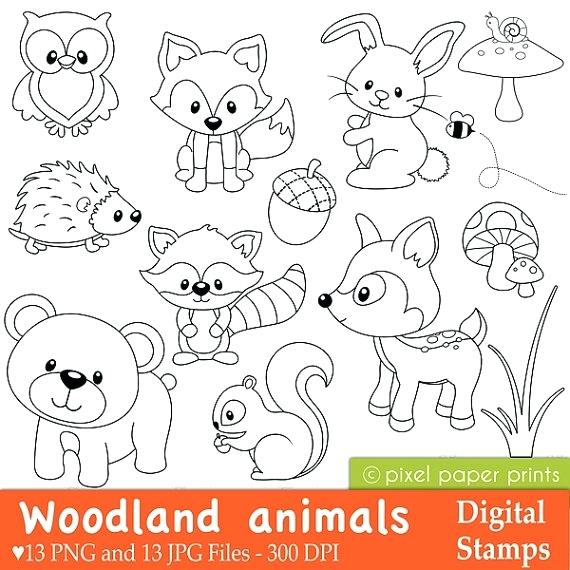 570x570 Woodland Animals Coloring Pages Like This Item Woodland Forest
