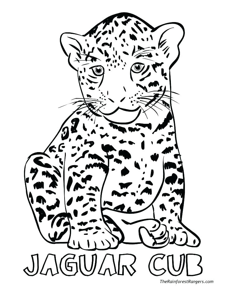 728x942 Woodland Animals Coloring Pages Woodland Animals Coloring Pages