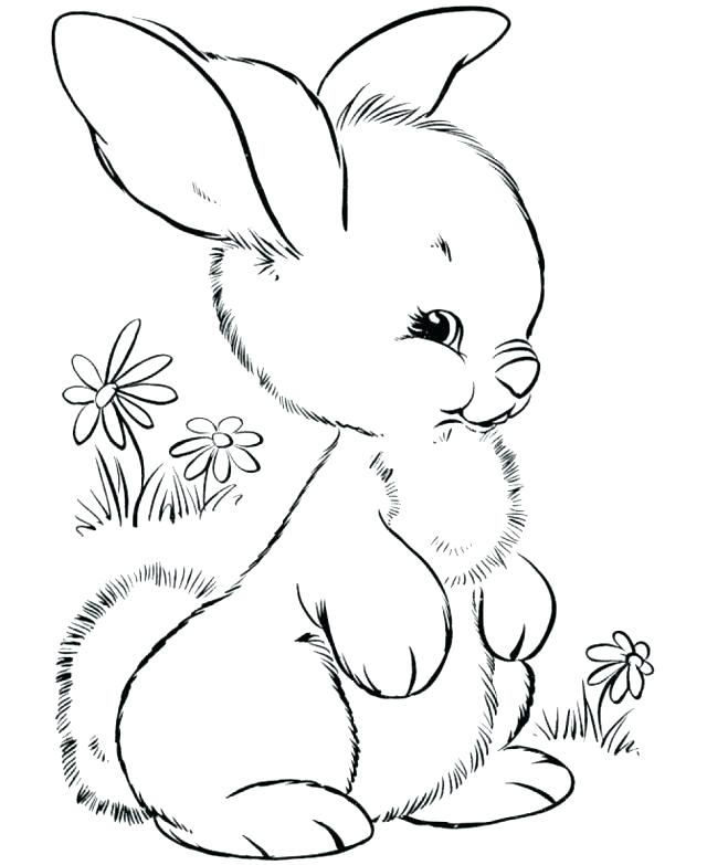 640x783 Woodland Animals Coloring Pages Woodland Animals Digital Stamps