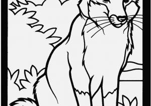 300x210 Woodland Creatures Coloring Pages Picture Woodland Animals