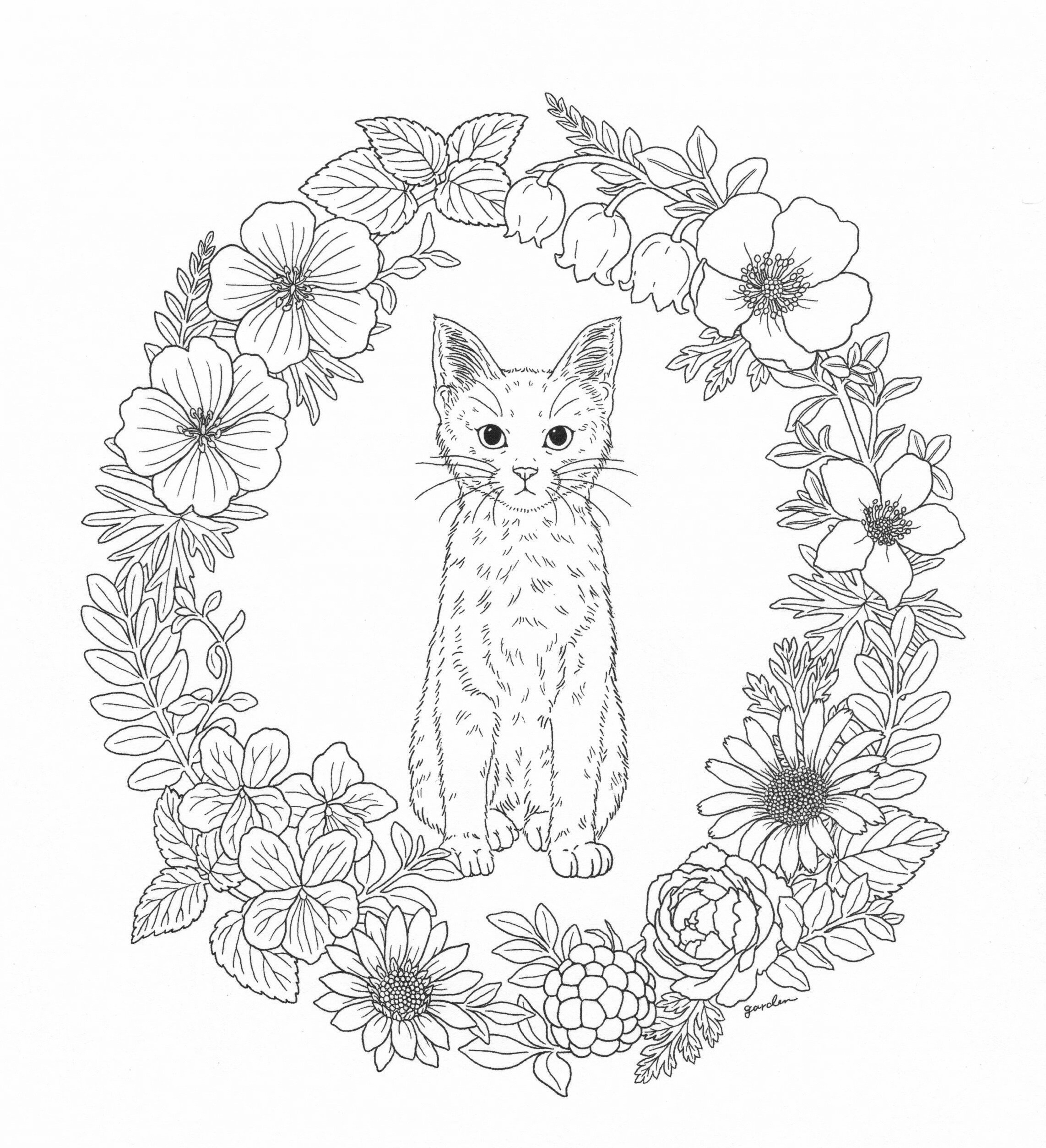 2285x2506 Elegant Image Result For Woodland Creature Coloring Pages Free