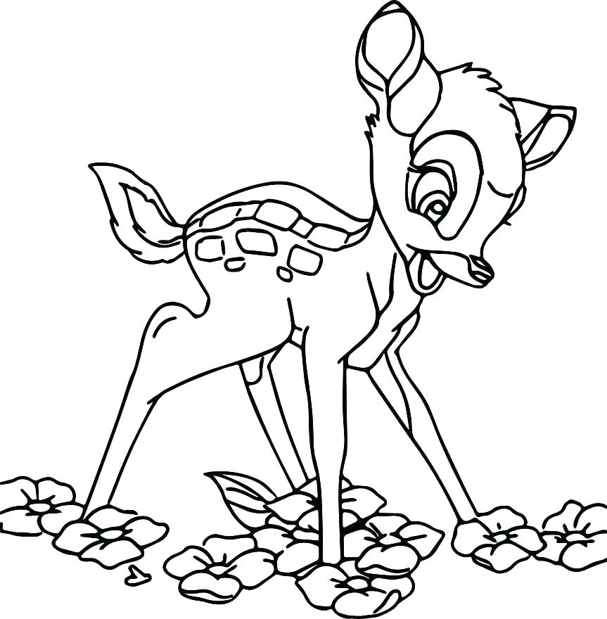 863x880 Woodpecker Coloring Page Ivory Billed Woodpecker Coloring Pages