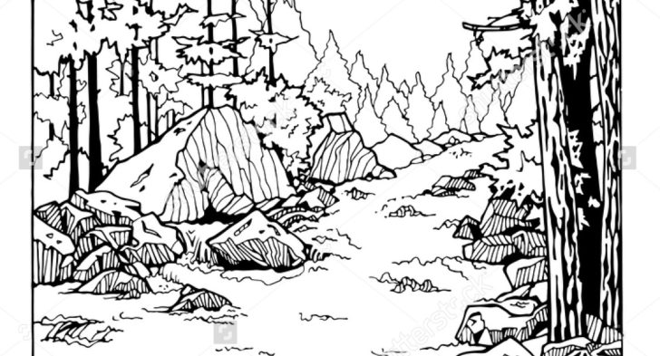 728x393 River Scene Coloring Page Waterfall Wood Coloring Page Adults