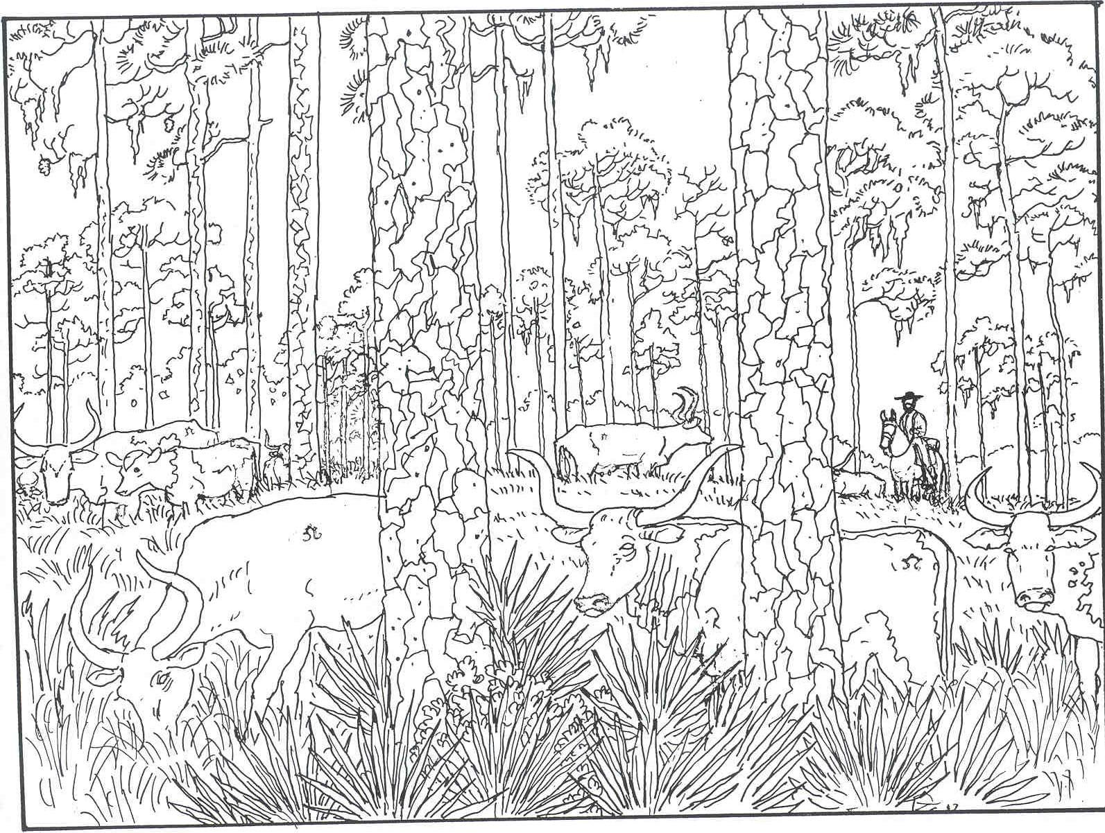 1593x1202 Forest Woods Coloring Page For Printer Friendly Versions