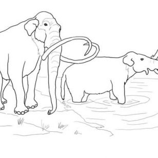 308x308 Free Mammoth Coloring Pages