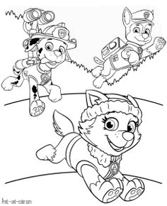 236x290 Skye, Zuma, And Chase Working Together In Paw Patrol Coloring