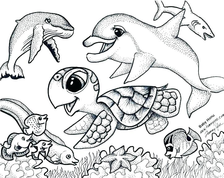 724x576 Sea World Coloring Pages Under The Sea Coloring Page Ideas Sea