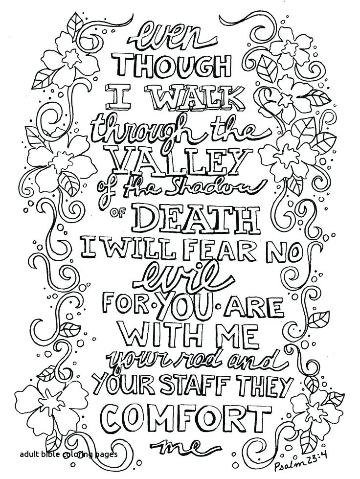 736x979 Whatever Is Lovely A Coloring Book For Reflection And Worship