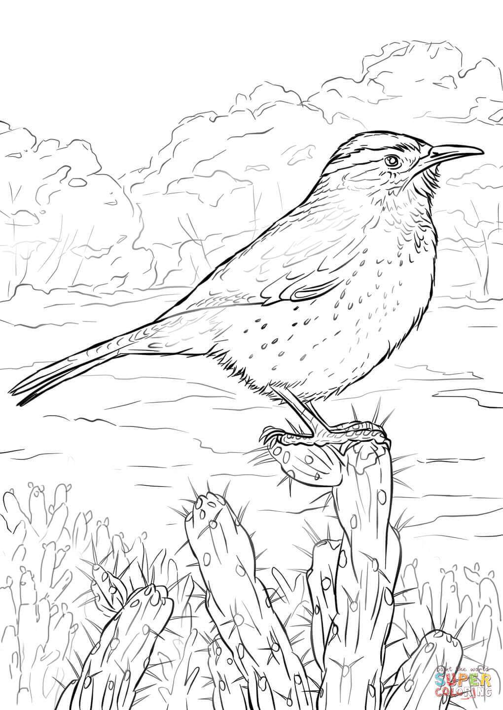 1020x1440 Cactus Wren Coloring Page
