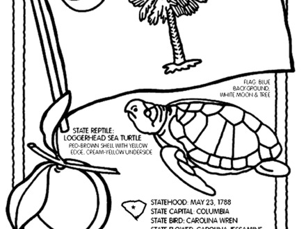 440x330 44 South Carolina Coloring Pages, Flag Of South Carolina Super
