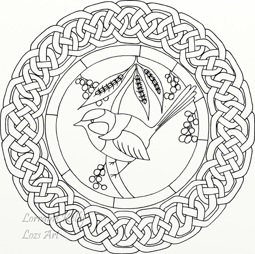 895x892 Blue Wren Celtic Knot Coloring Page By Lorrainekelly