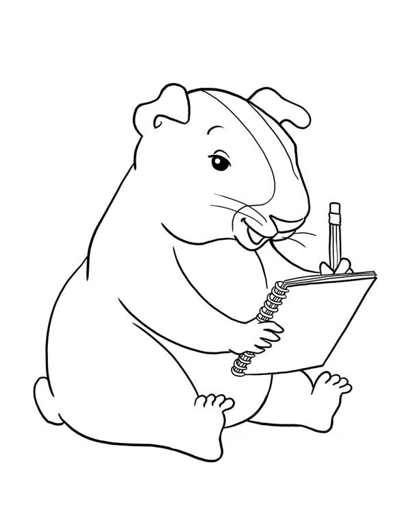 600x776 Guinea Pig Writing Coloring Page Color Luna