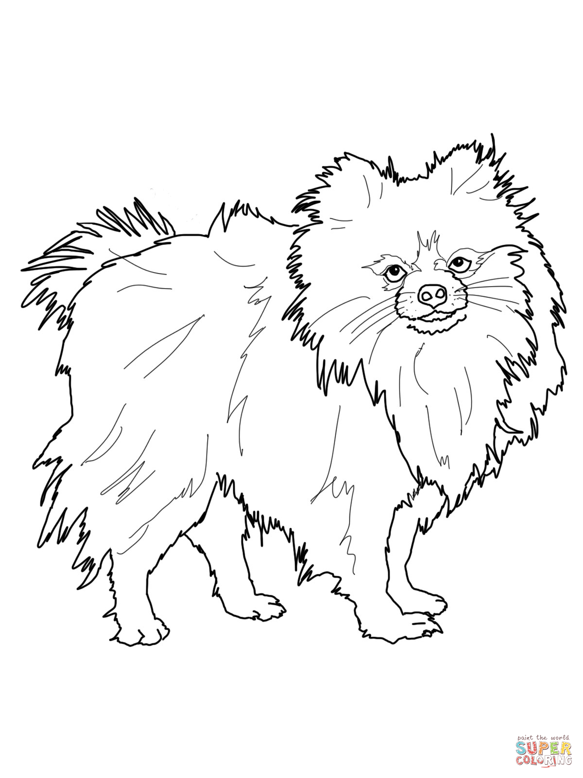 1200x1600 Wwe Coloring Pages