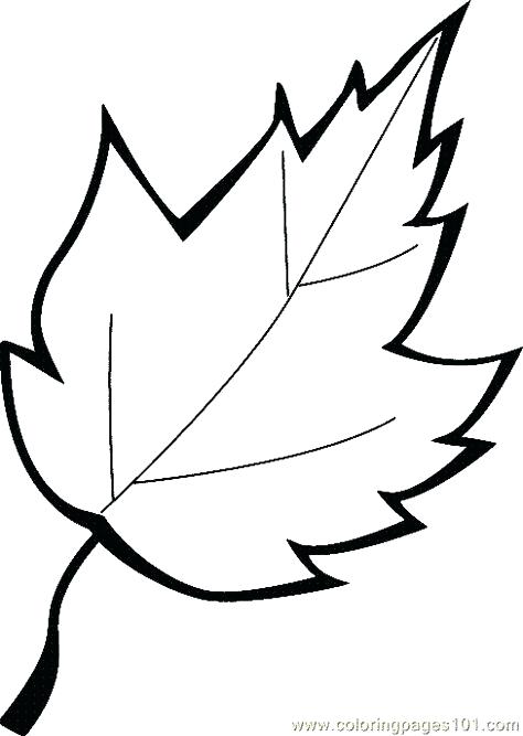 474x667 3 Leaf Clover Coloring Sheets Two Autumn Leaf Coloring Page Leaves