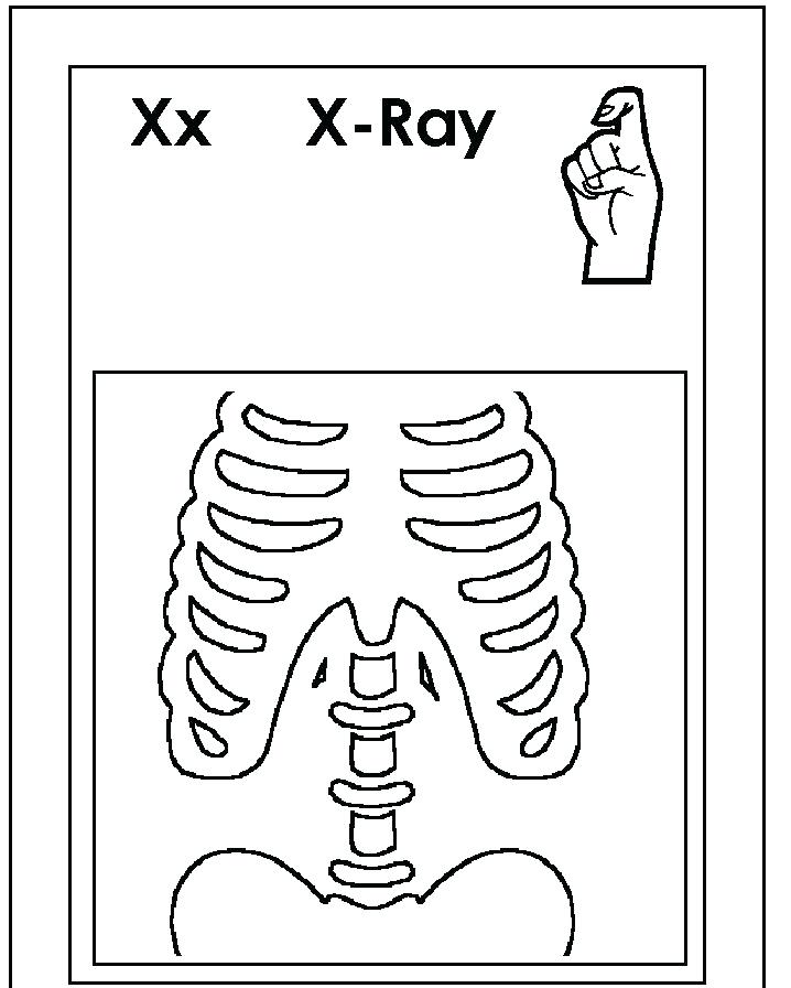 X Ray Coloring Page