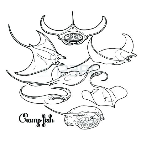 450x450 X Ray Fish Coloring Page Manta Ray Coloring Page Seamless Vector