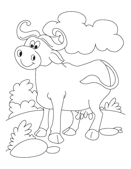 420x543 X Ray Fish Coloring Page Tetra Animal Coloring Pages X Ray X Ray