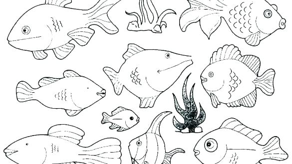 585x329 Ray Coloring Pages Coloring Pages For Kids Ray Fish Common Ray