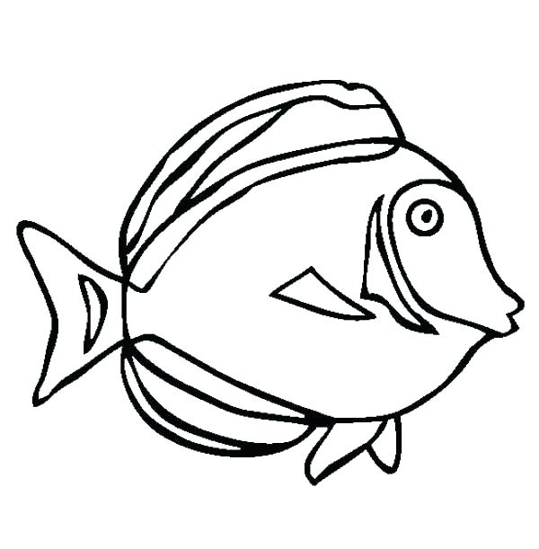 600x611 Rey Mysterio Coloring Pages X Ray Coloring Page Superb Charming X